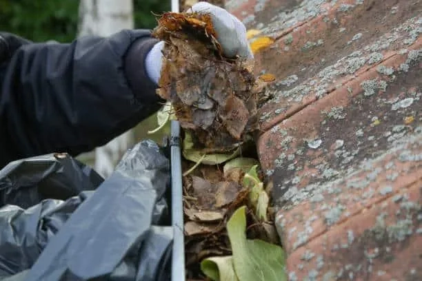 Gutter Cleaning Exterior Service
